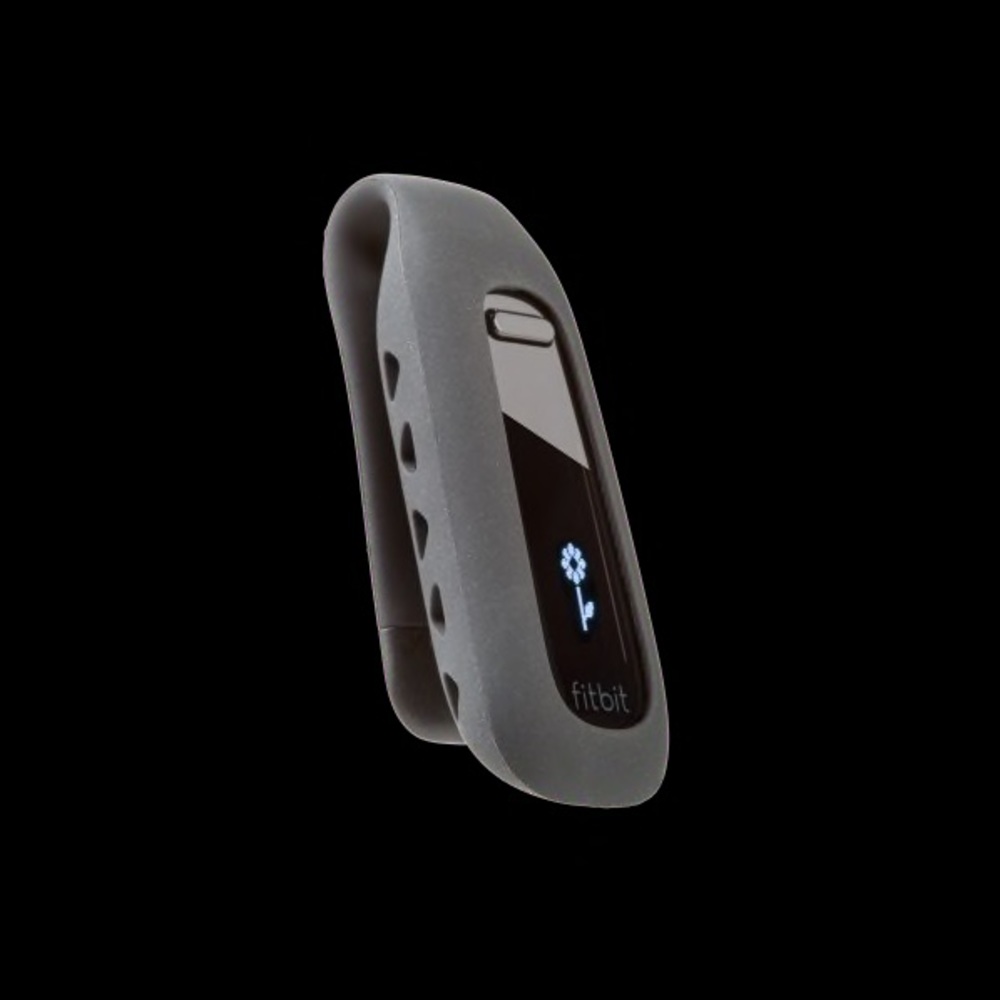 Fitbit One
